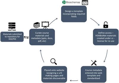 The Development of a Sustainable Bioinformatics Training Environment Within the H3Africa Bioinformatics Network (H3ABioNet)